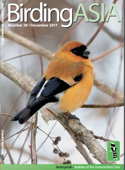 BA28-cover.jpg