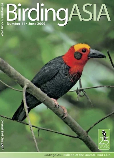 BA11-cover.jpg