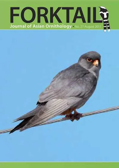Forktail27-cover.jpg