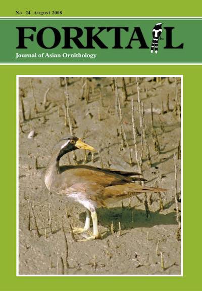 Forktail24-cover.jpg