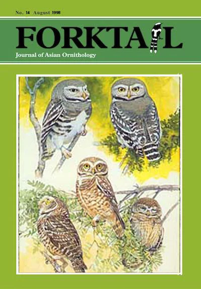 Forktail14-cover.jpg