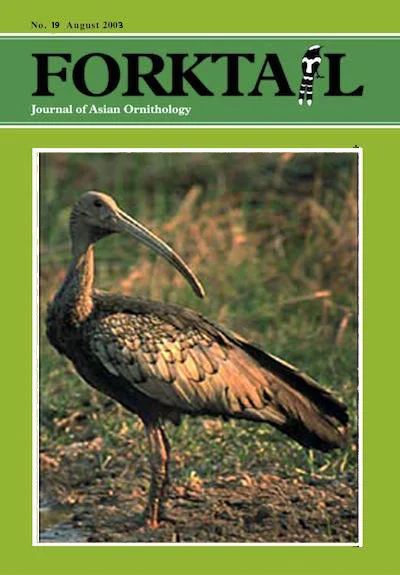 Forktail19-cover.jpg