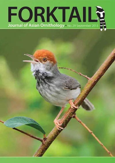 Forktail29 cover.jpg
