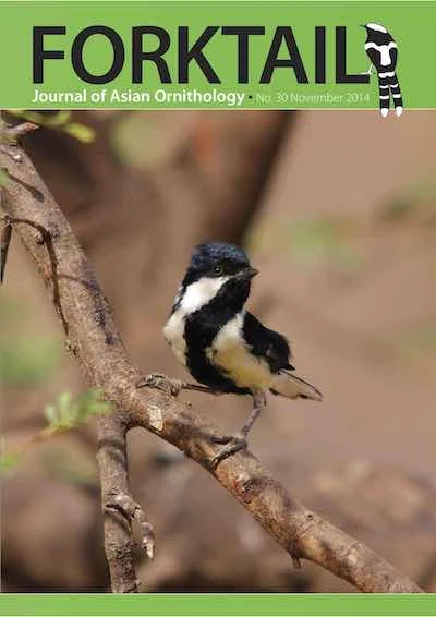 Forktail30-cover.jpg