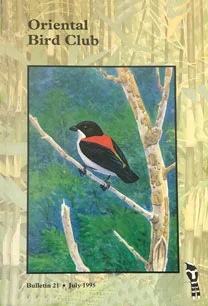 Bulletin21-cover.jpg