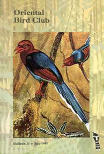 bulletin26-cover.jpg