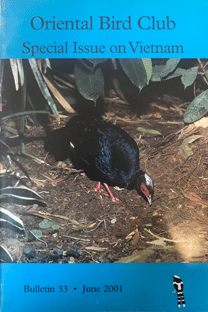 Bulletin33-cover.jpg