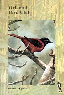 bulletin28-cover.jpg