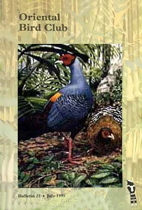 bulletin31-cover.jpg