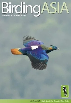 BA31-cover.jpg