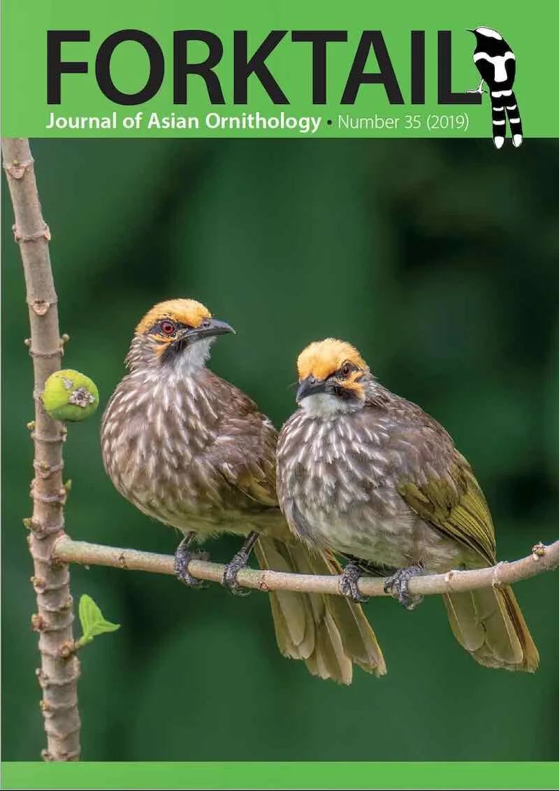 Forktail35-cover.jpg