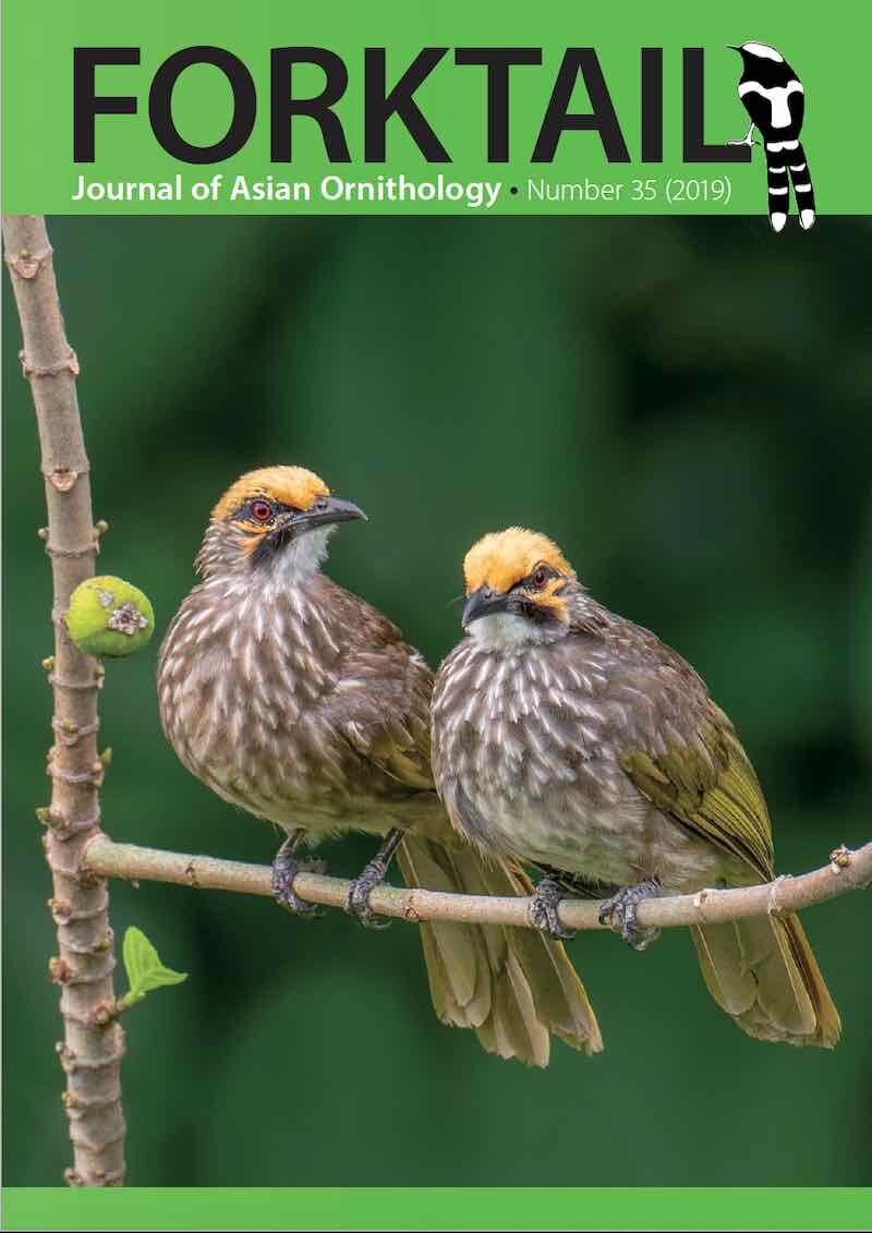 Forktail35-cover.jpg