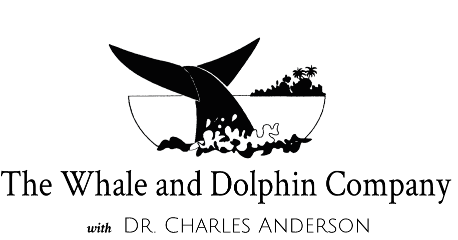 Whale and Dolphin Company