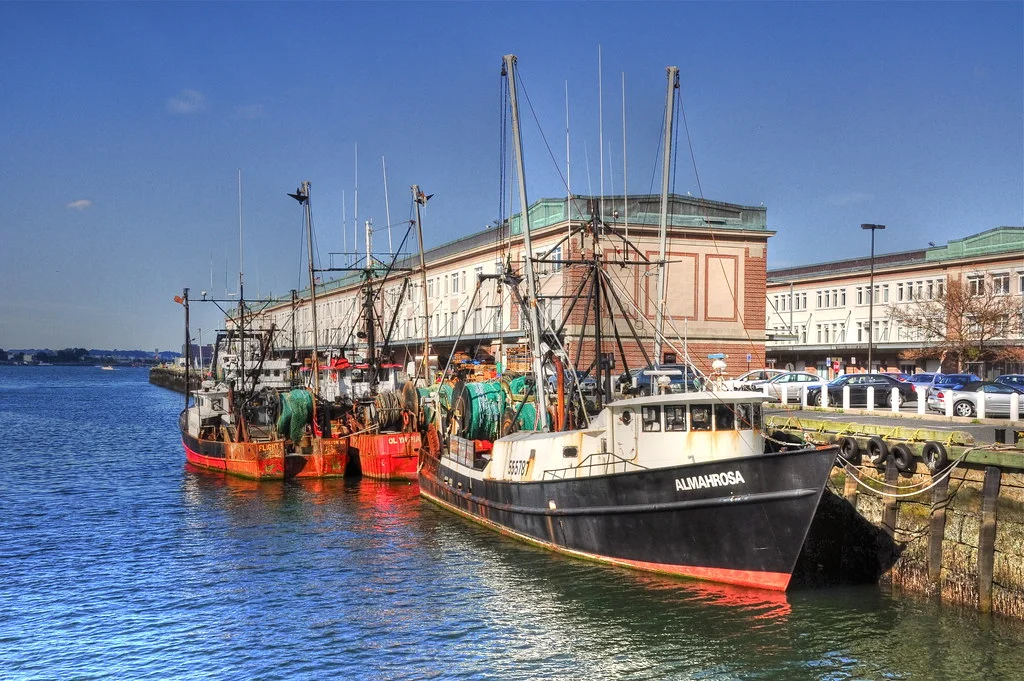 Boston Fish Pier
