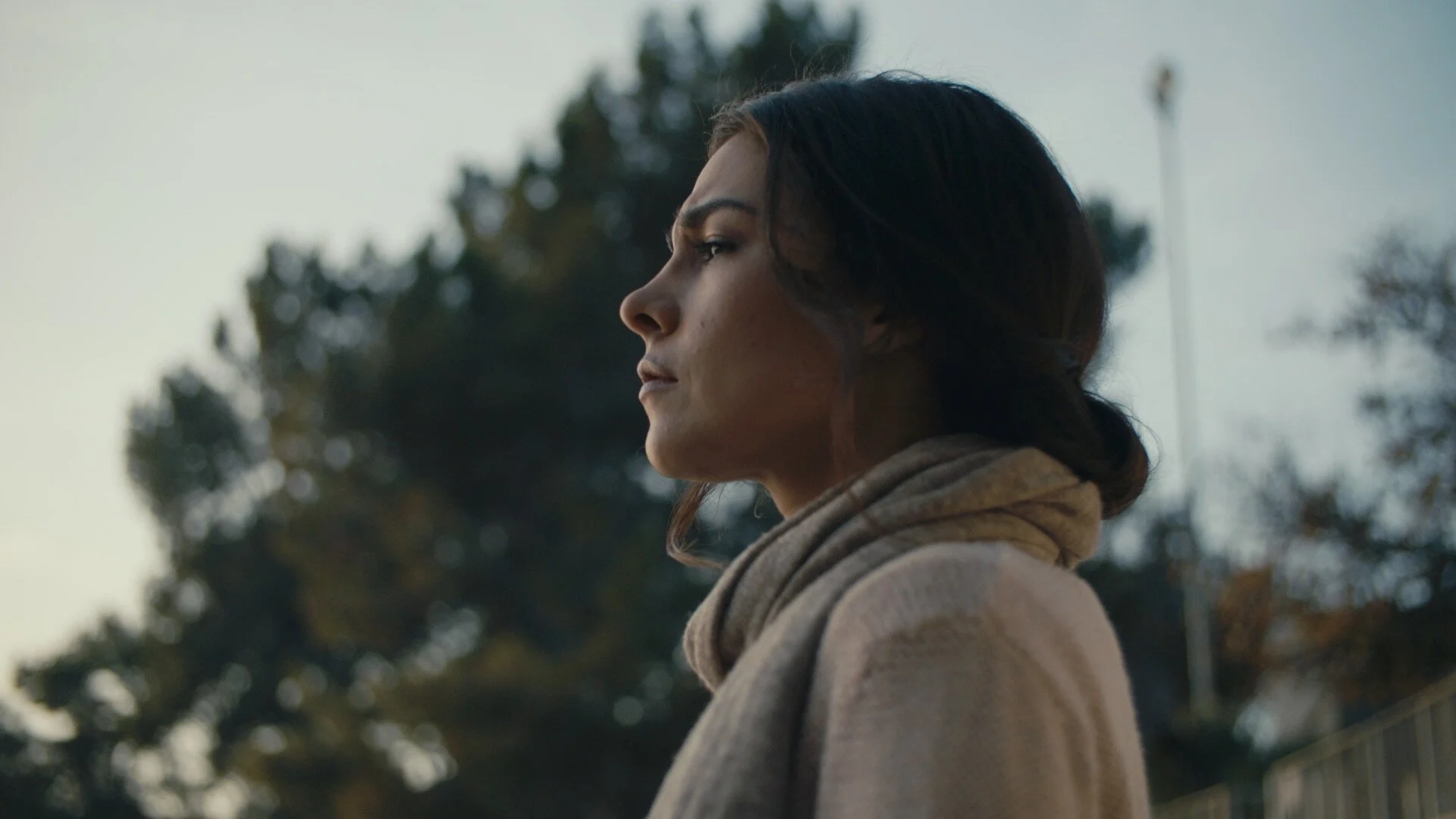 JPEG image-828AA9628F79-12.jpeg