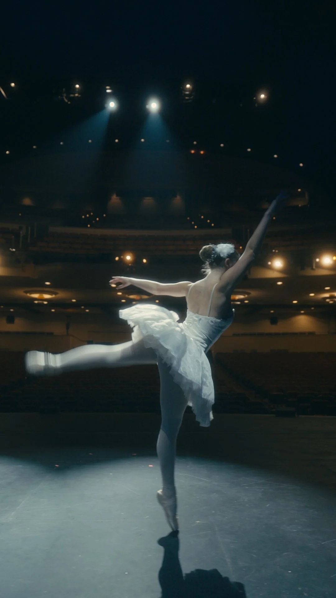 Still 2026-01-26 181604_1.86.1.jpeg