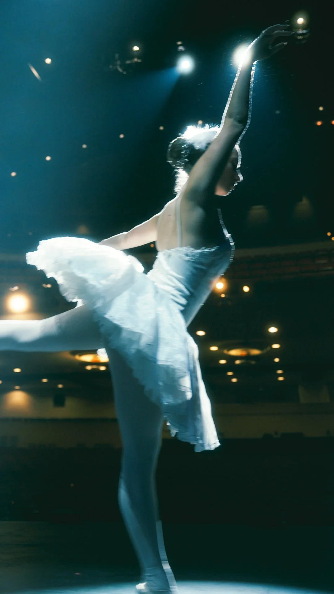 Still 2026-01-26 181604_1.36.3.jpeg