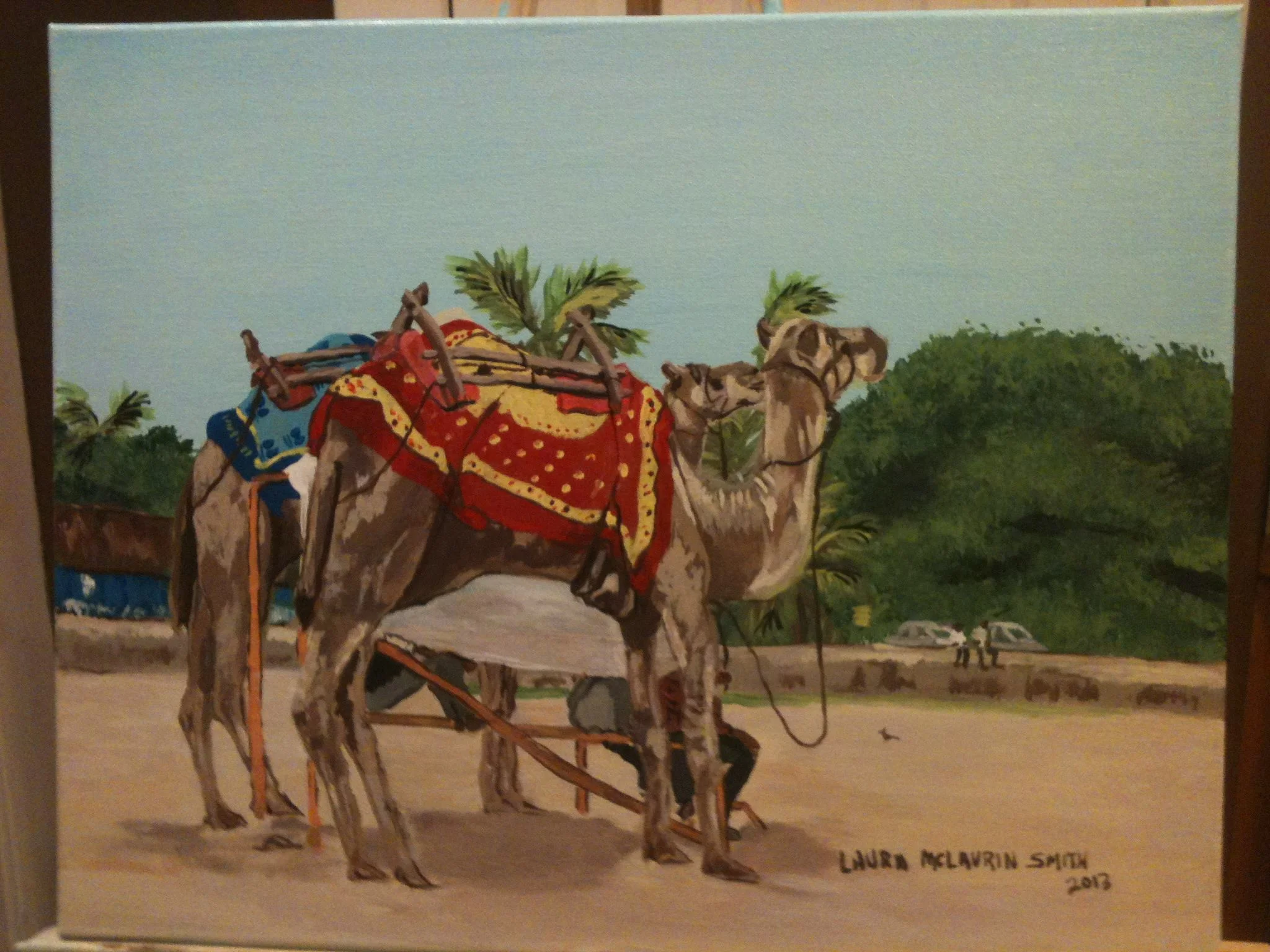India    Camels 