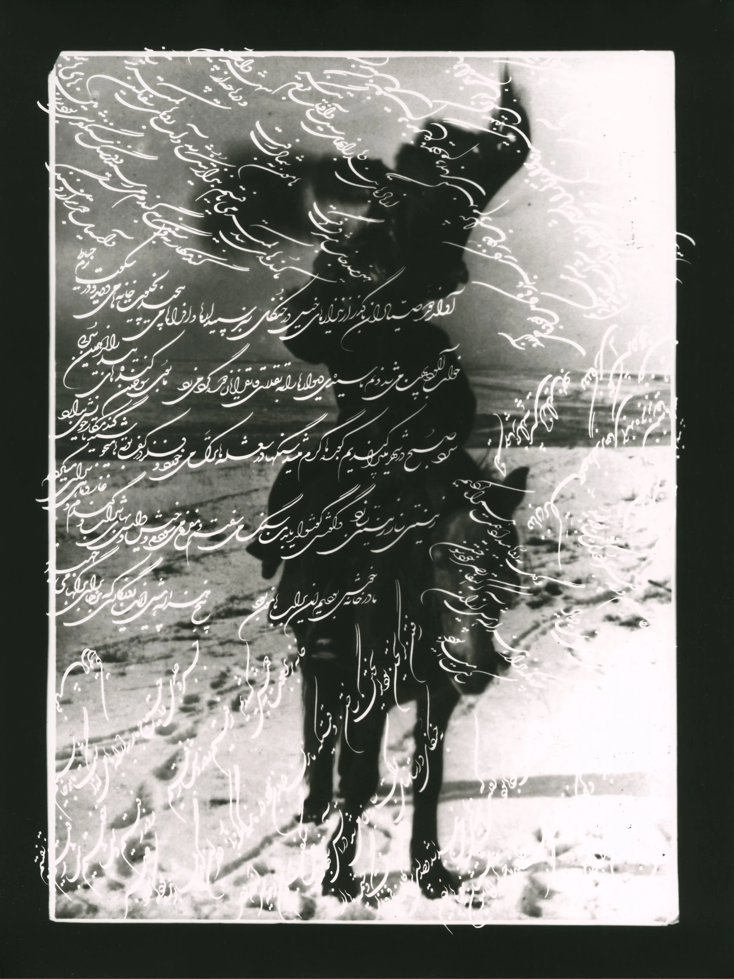 In the Name of Contemplation - Silver Gelatin Print.jpg