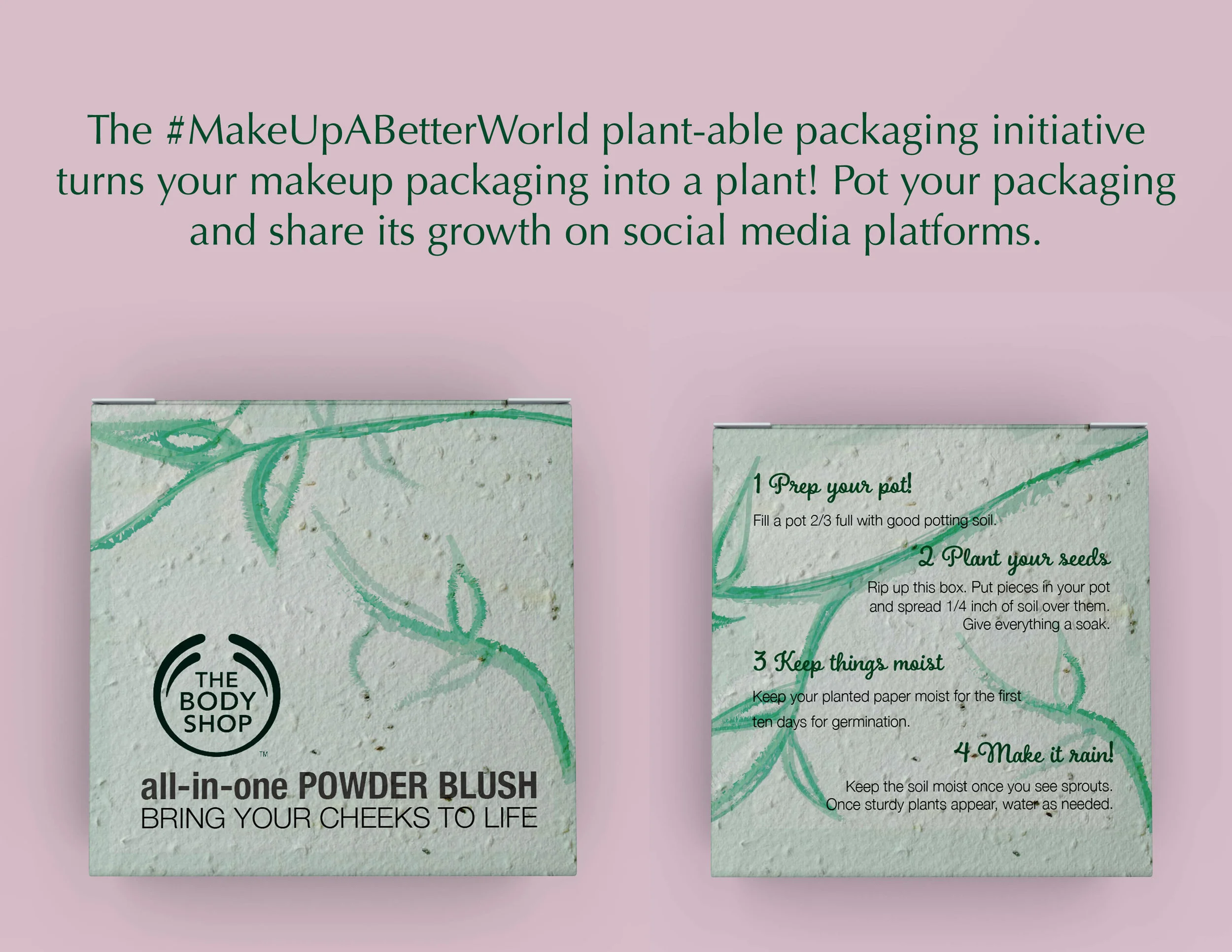 Plantable packaging2.jpg