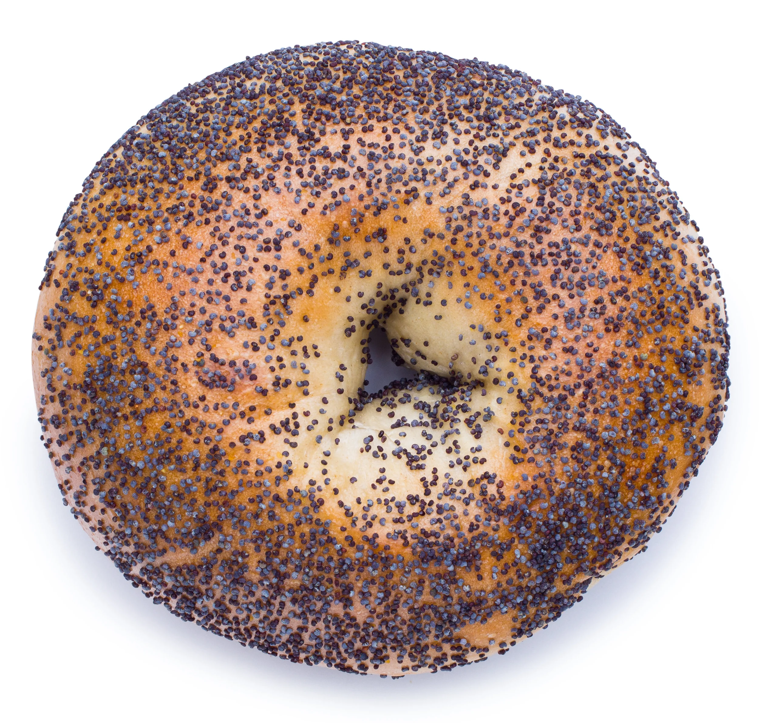 Bagel_Poppy_Seed.jpeg