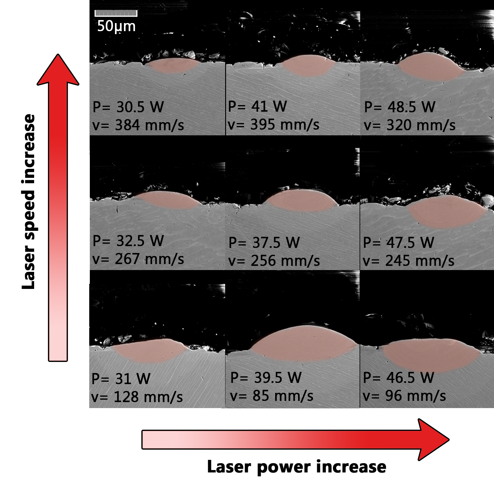 fig4 sem2m2.png