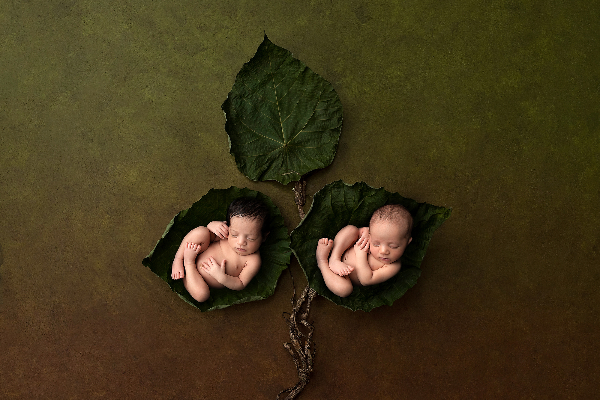 newborn-photographer-baby-composite-digital-photography.jpg