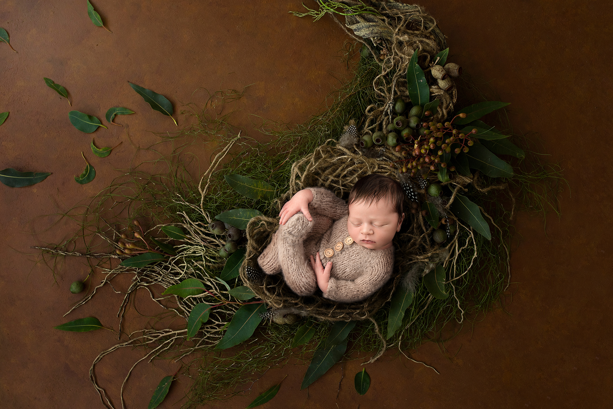 digital-composite-langley-newborn-photographer.jpg