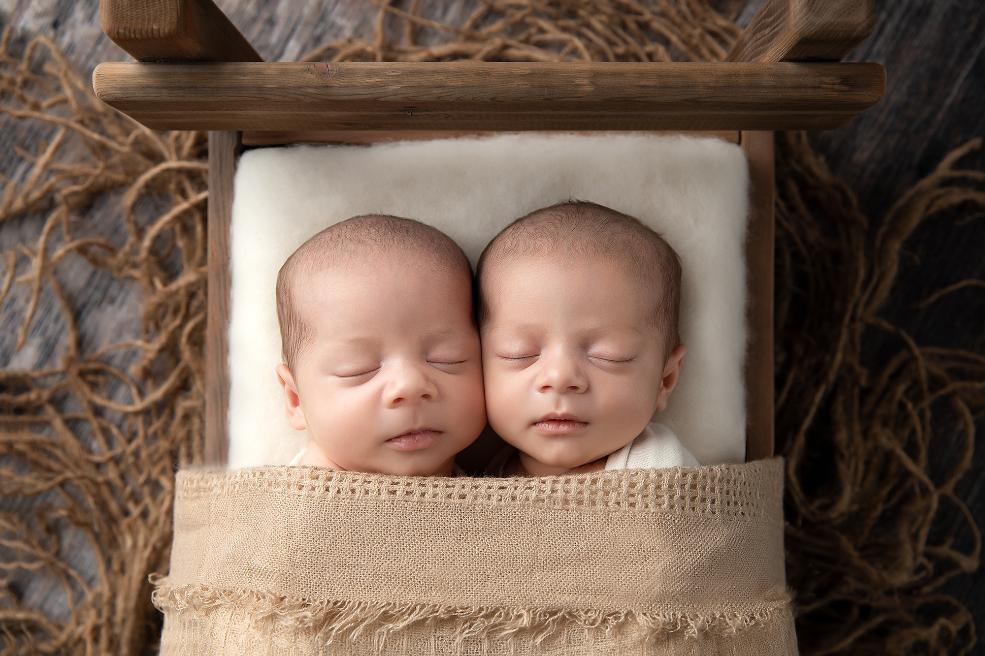 langley-twins-baby-photographer.jpg