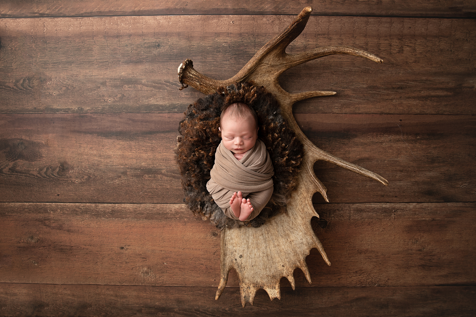 newborn-antler-photographer.jpg