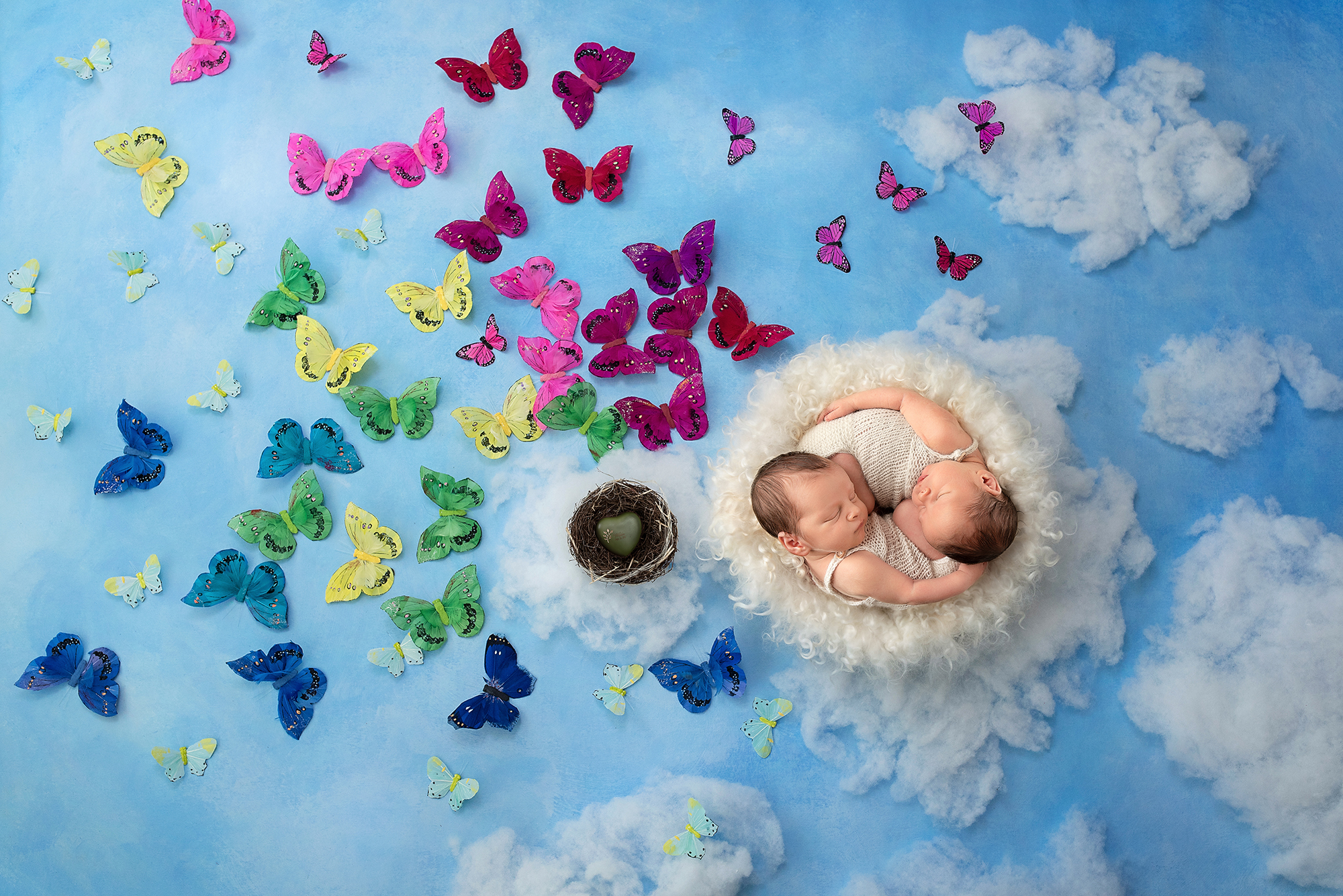 newborn-twins-composite-butterflies.jpg