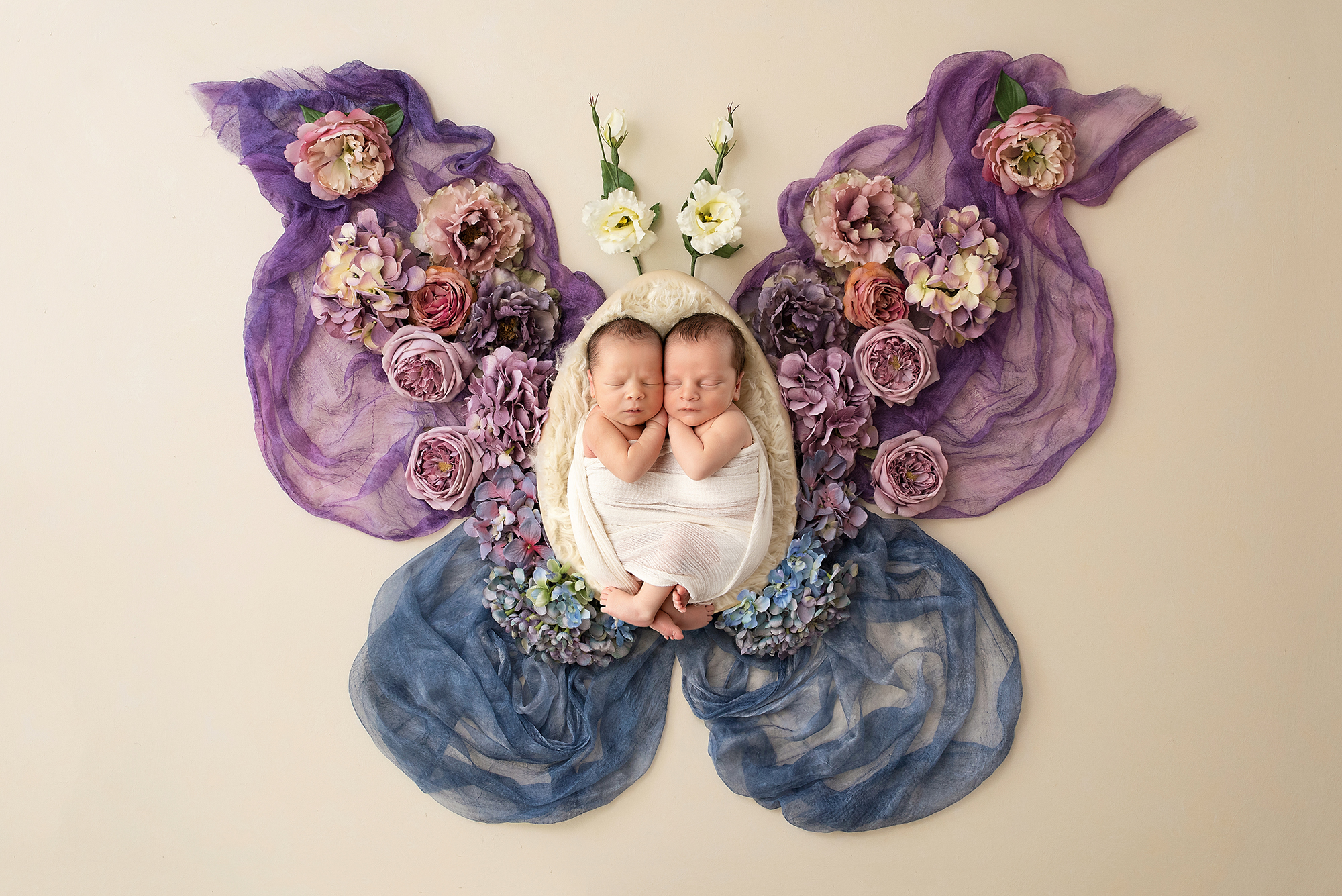 newborn-twins-photographer-butterfly.jpg
