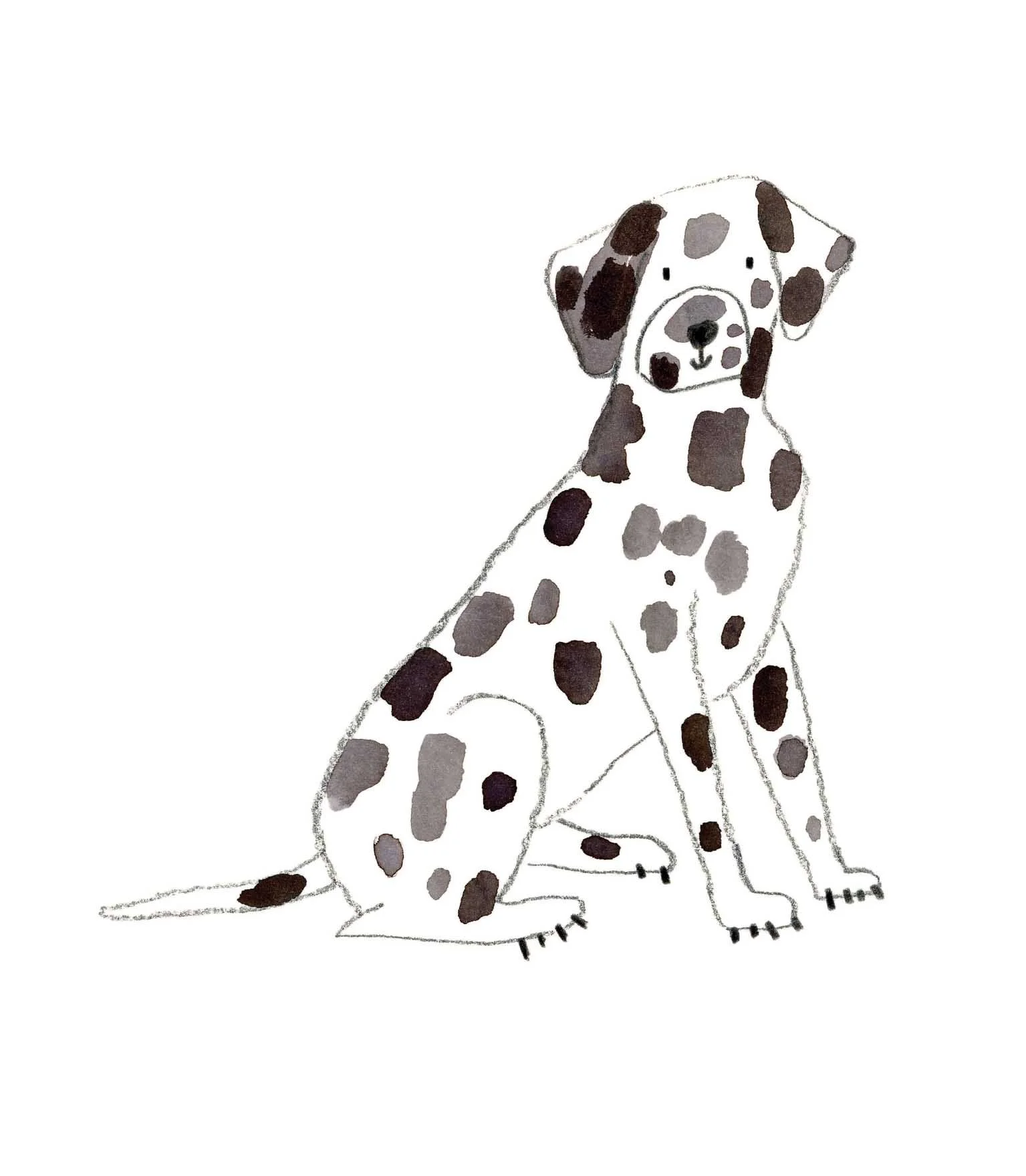 Dalmatian 8 online.jpg