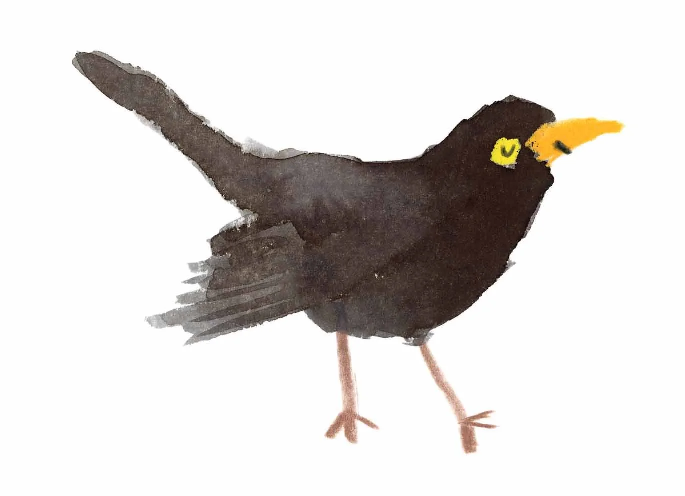 Blackbird Original 11 online.jpg