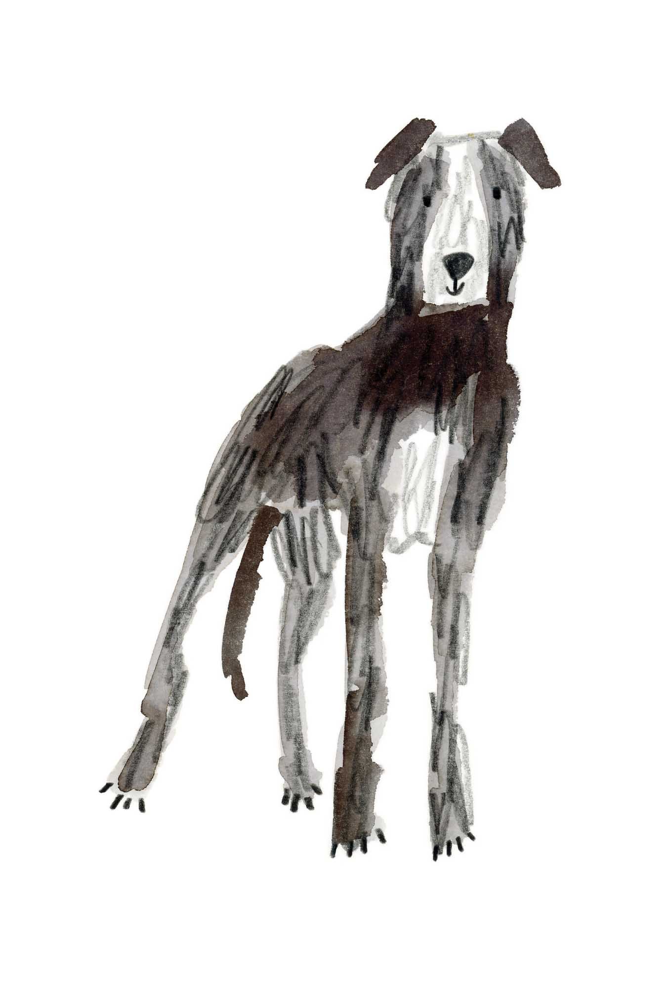 Ink Hound 2 online.jpg