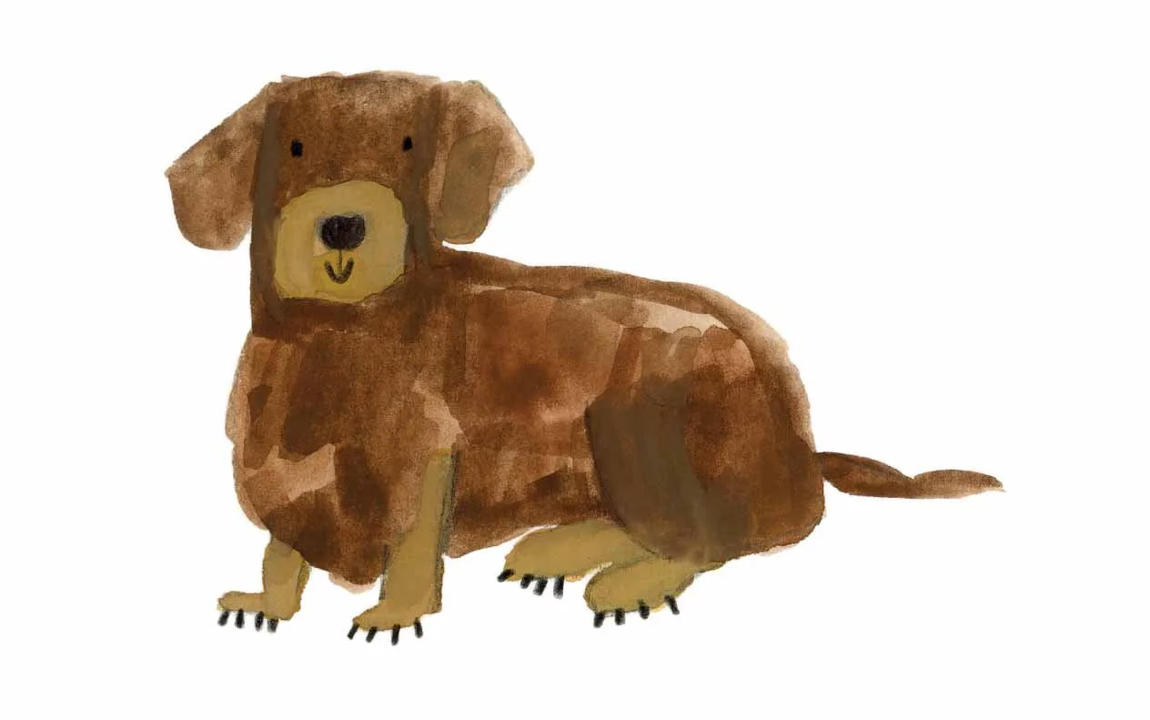 Brown and Tan Dachshund 1 online.jpg