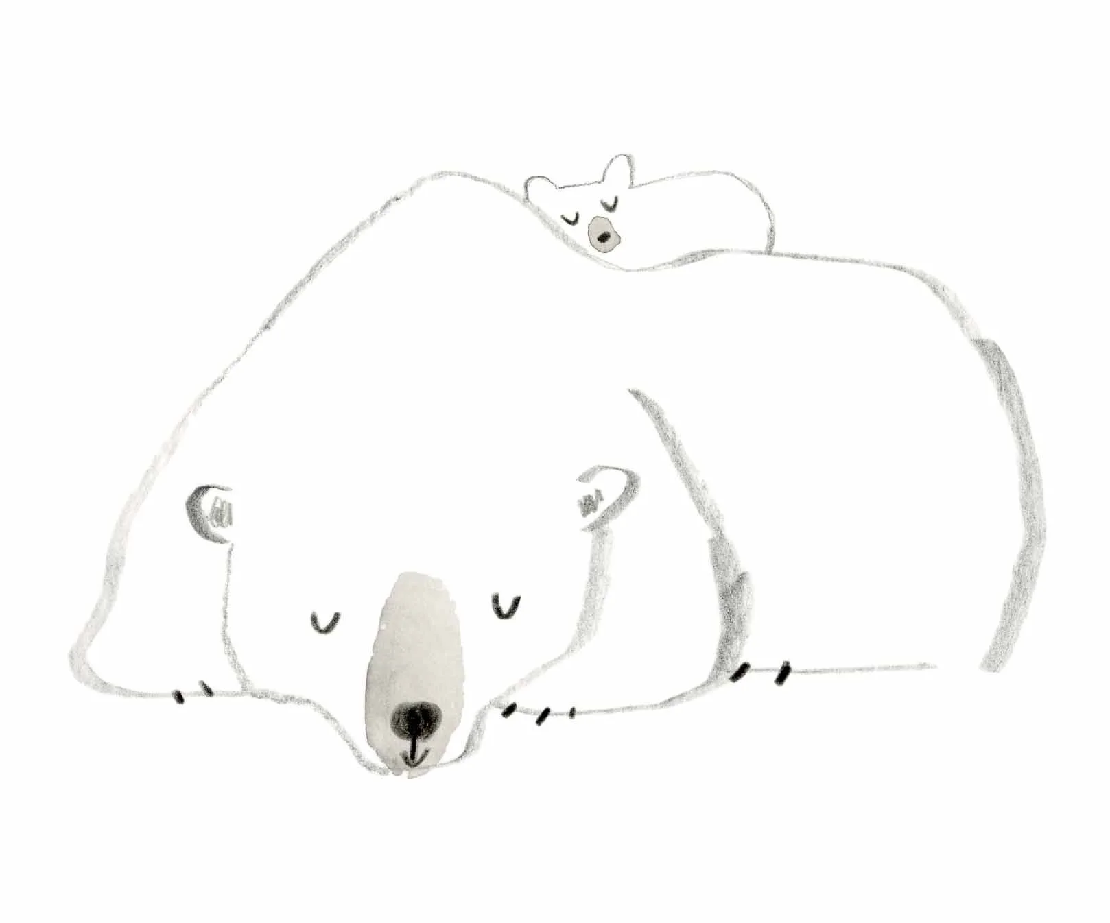 Polar Bear Mum Sketch 3 online.jpg