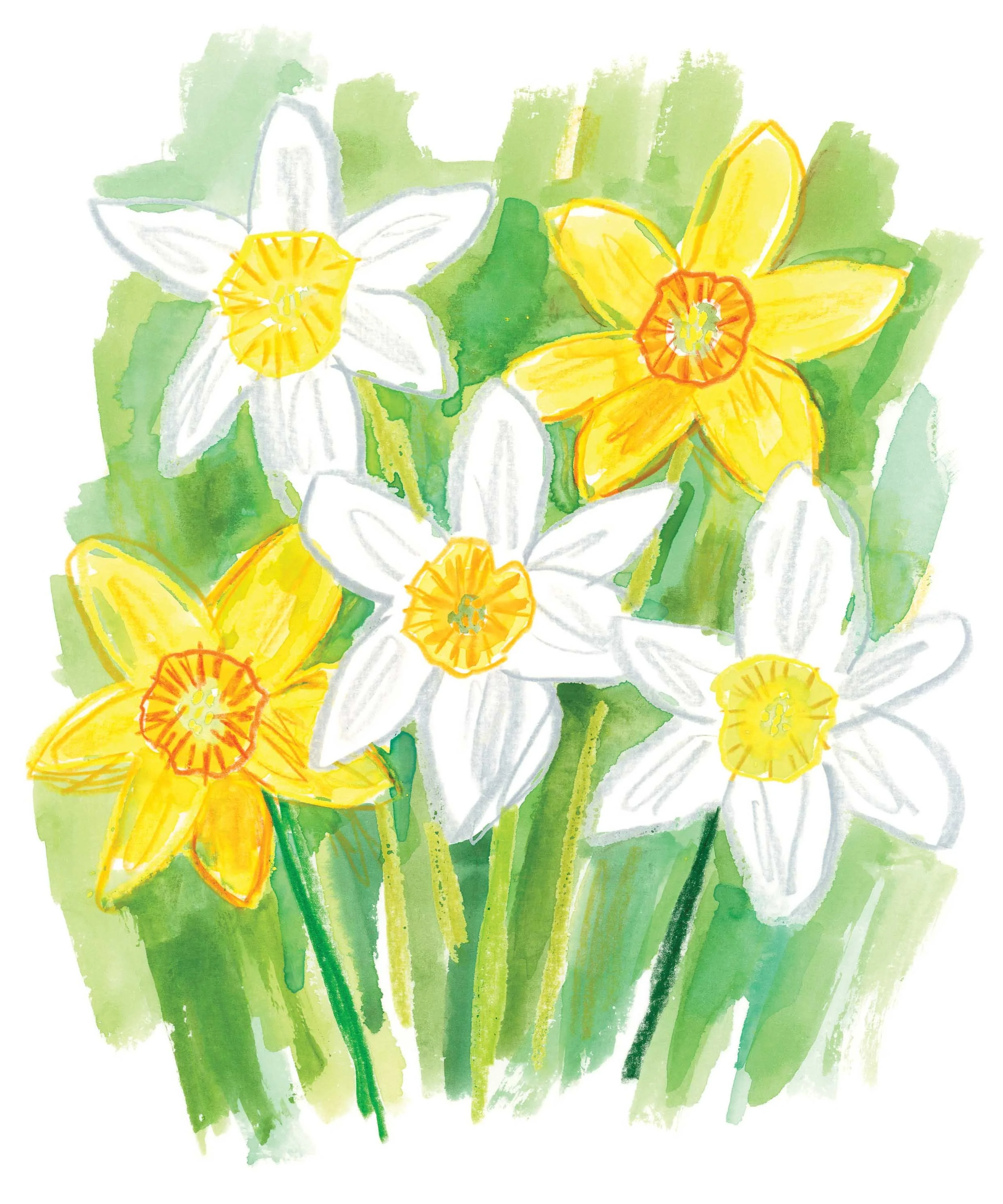 Daffodils original 1 online.jpg