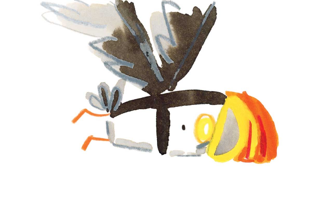 Puffin 6 online.jpg