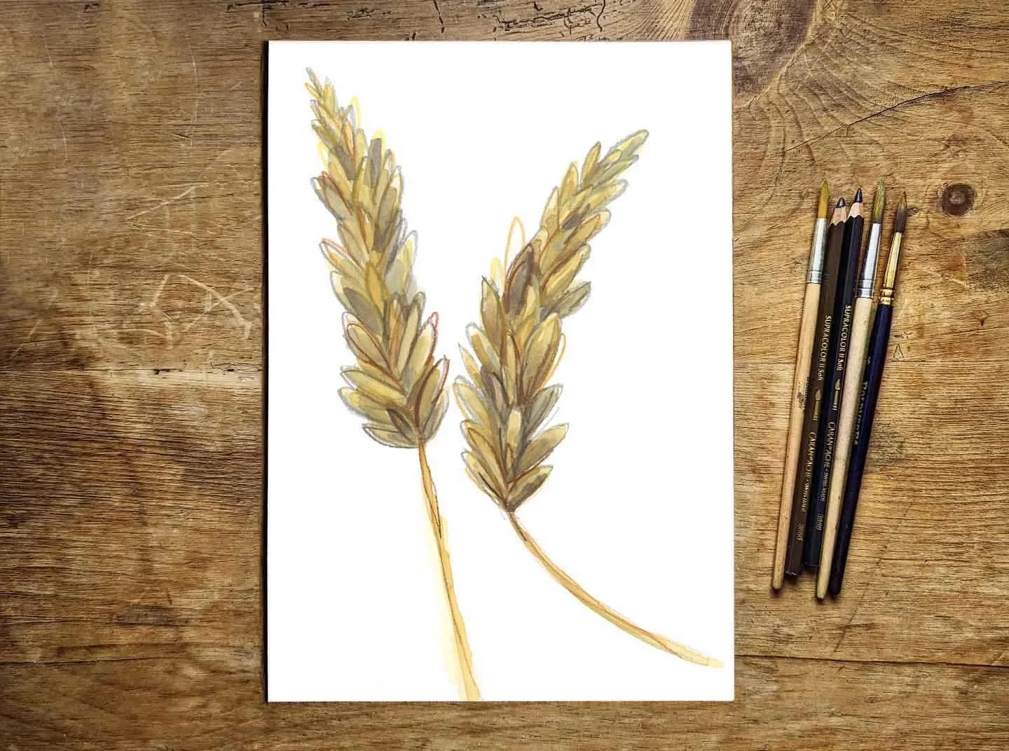 wheat promo copy.jpg