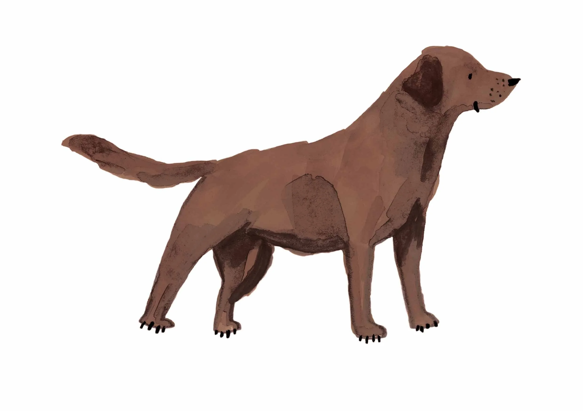 Choc Lab Print 1 online.jpg