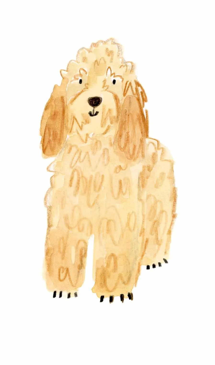 Cockapoo 2 Original online.jpg