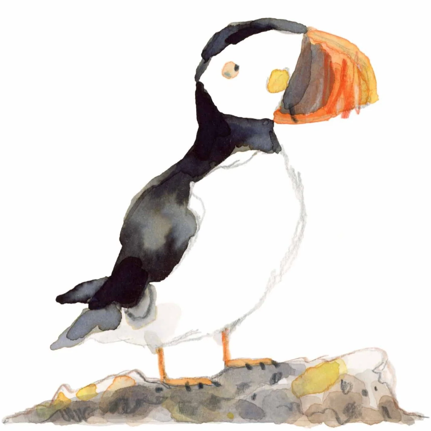 Puffin+1+online.jpg