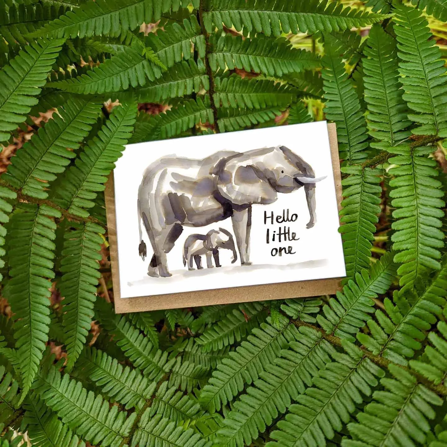 hello little one promo online.jpg