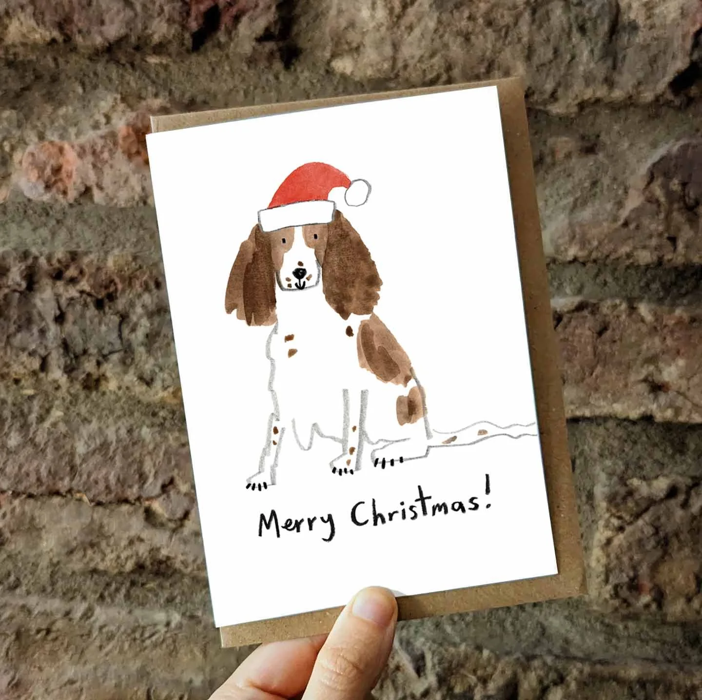 Brown Springer xmas card promo 25-1.jpg