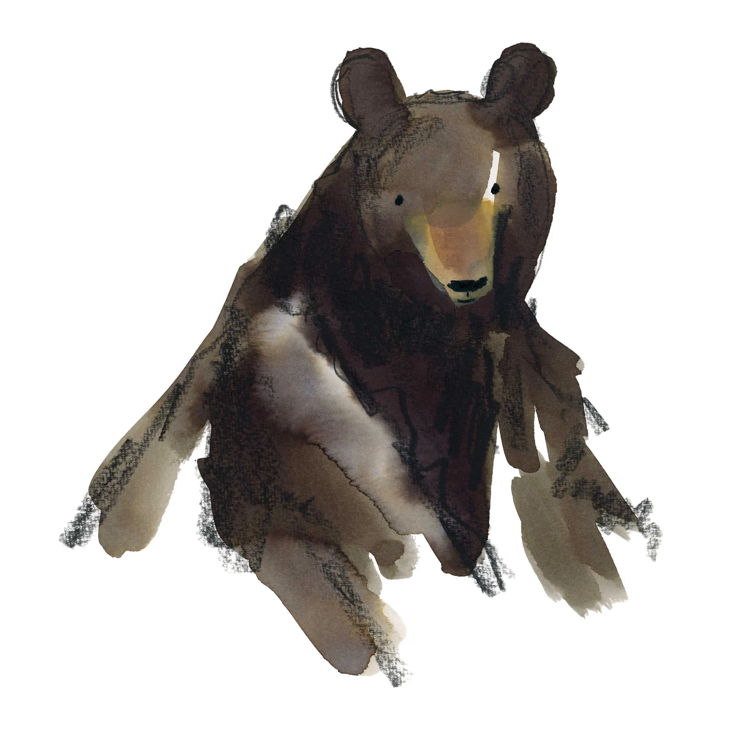Black Bear Print online.jpg
