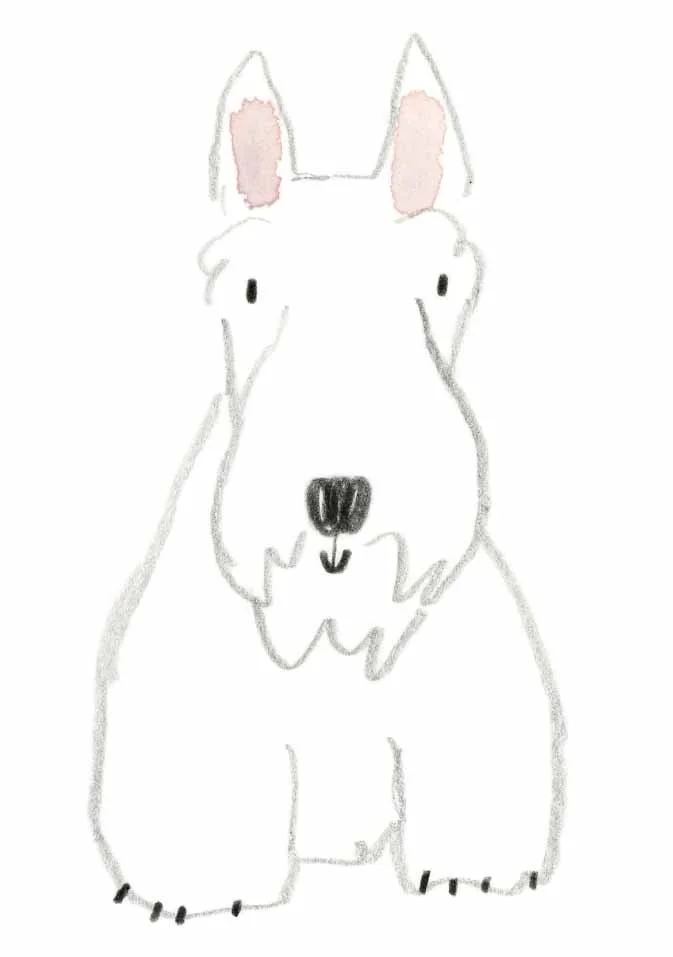 Scottish Terrier 1 online.jpg