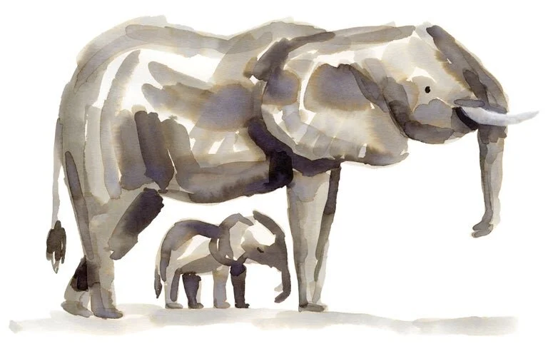 Elephant+print+1+online.jpg