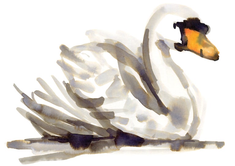 Swan+_WEB_.jpg