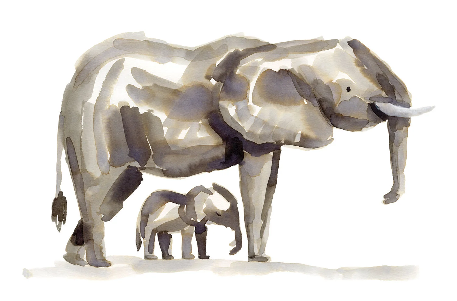 New+Baby+Website.jpg